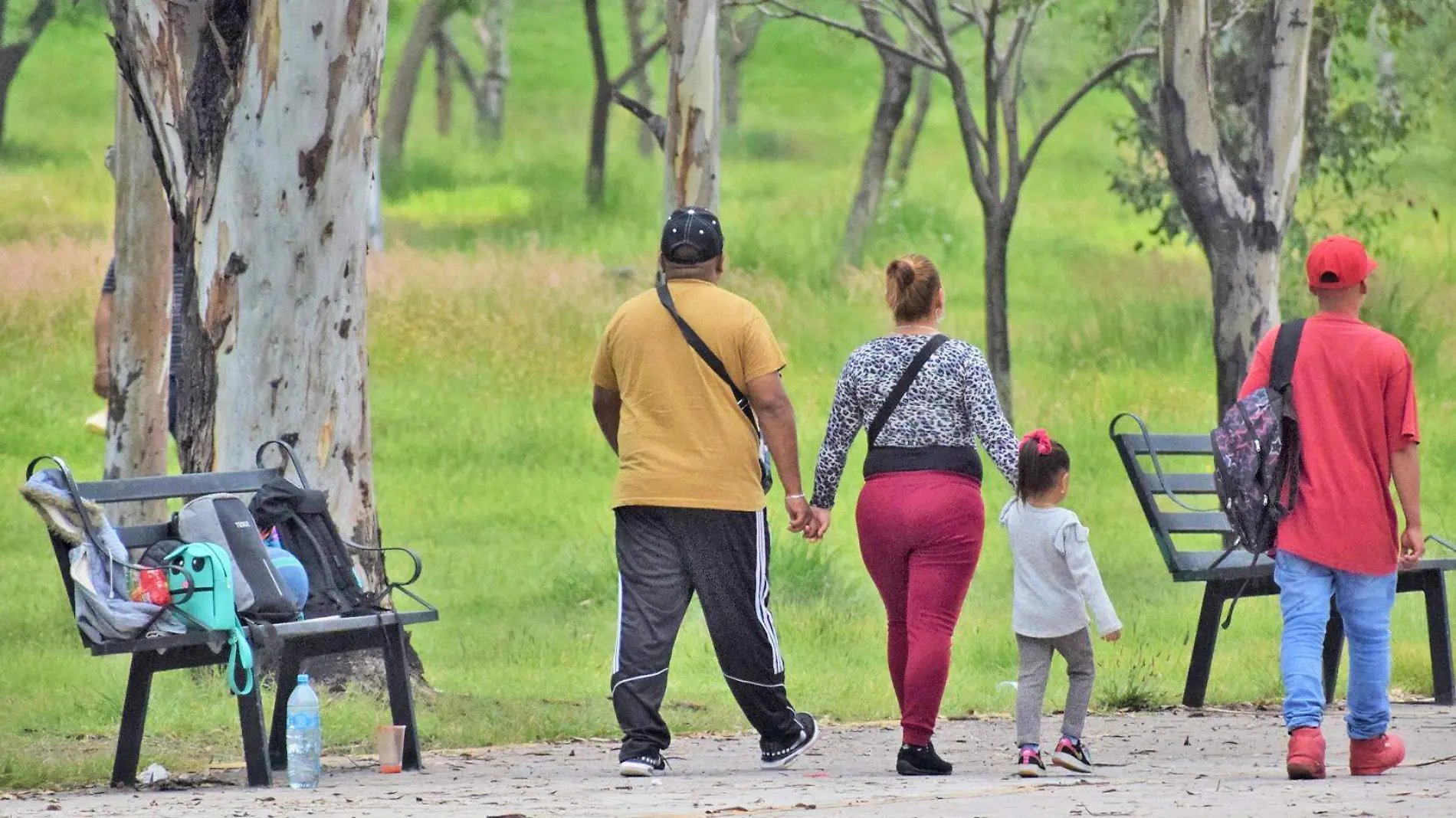 familia caminando en parque